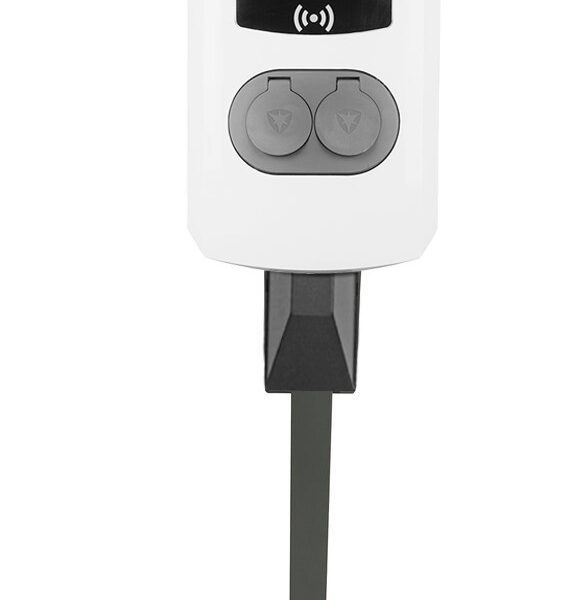 Alfen Mounting Post for EVE Double